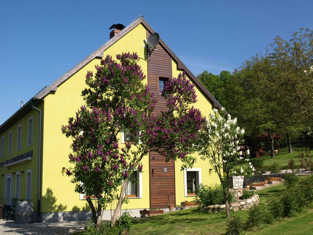 Dom Ogrodnika Appartement Jezow Sudecki Kamer foto